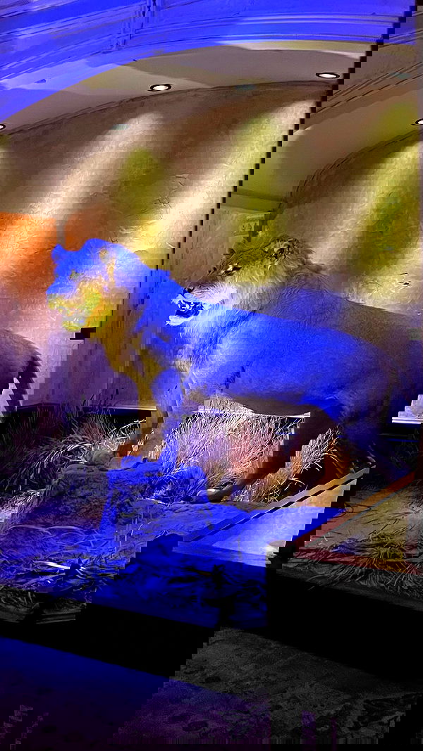 vanessa.julienne image ~ Altpins