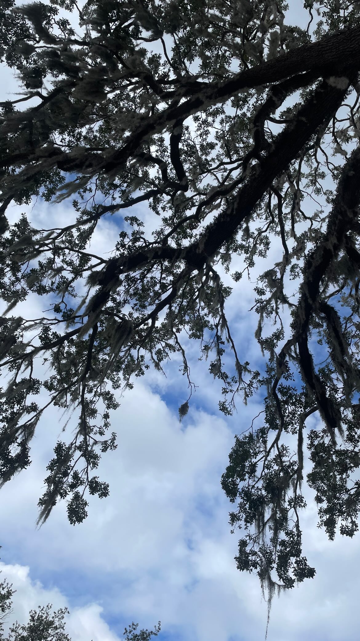 vanessa.julienne instagram image archive image