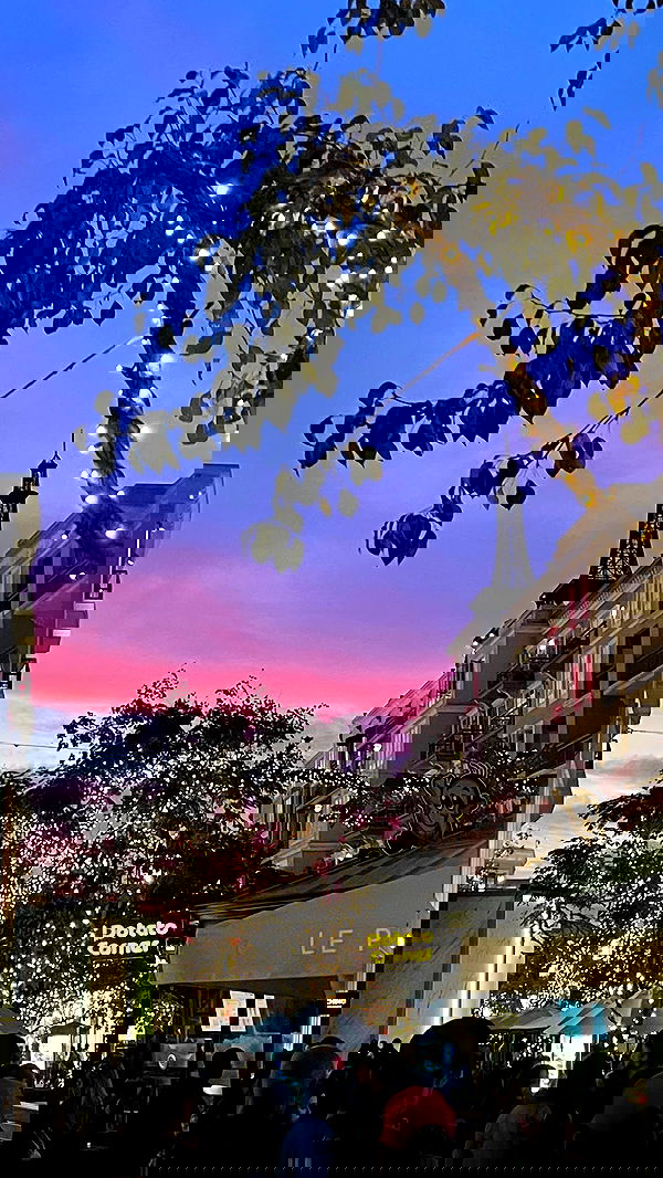 vanessa.julienne image ~ Altpins