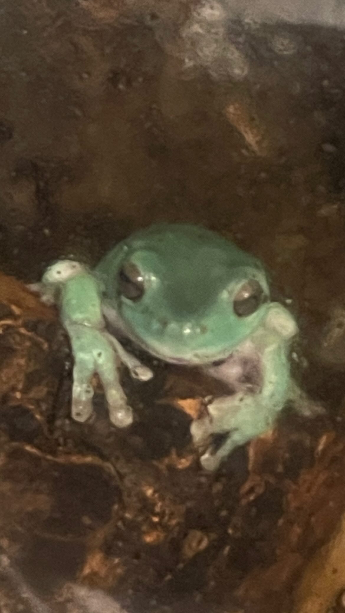 vanessa.julienne instagram image archive image