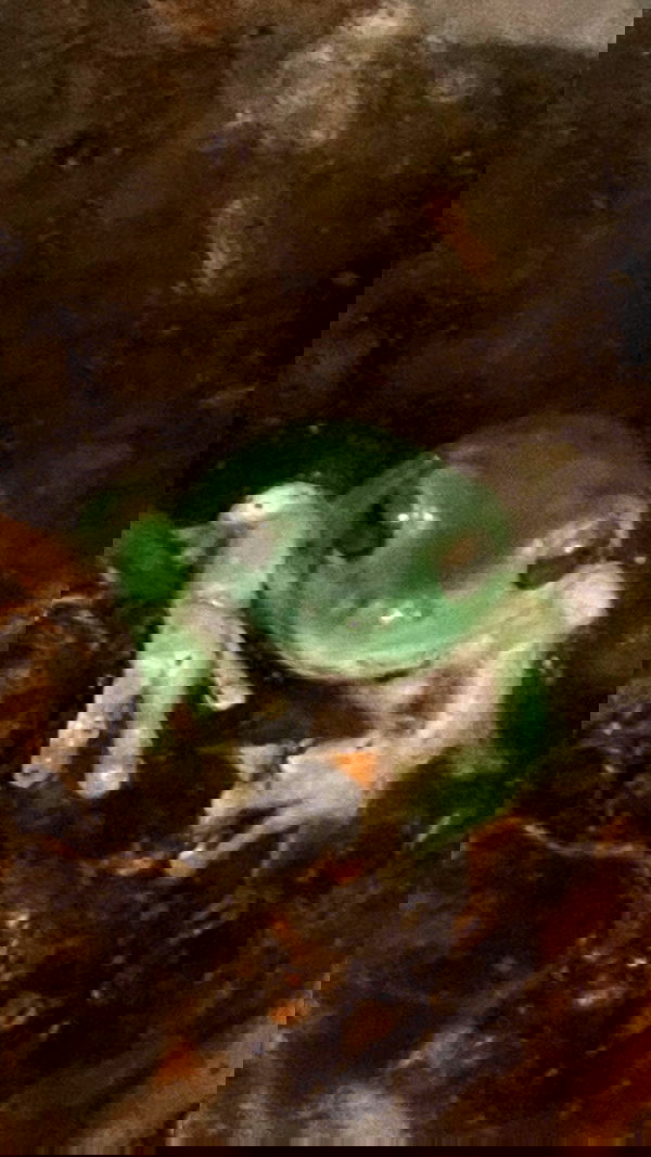 vanessa.julienne image ~ Altpins