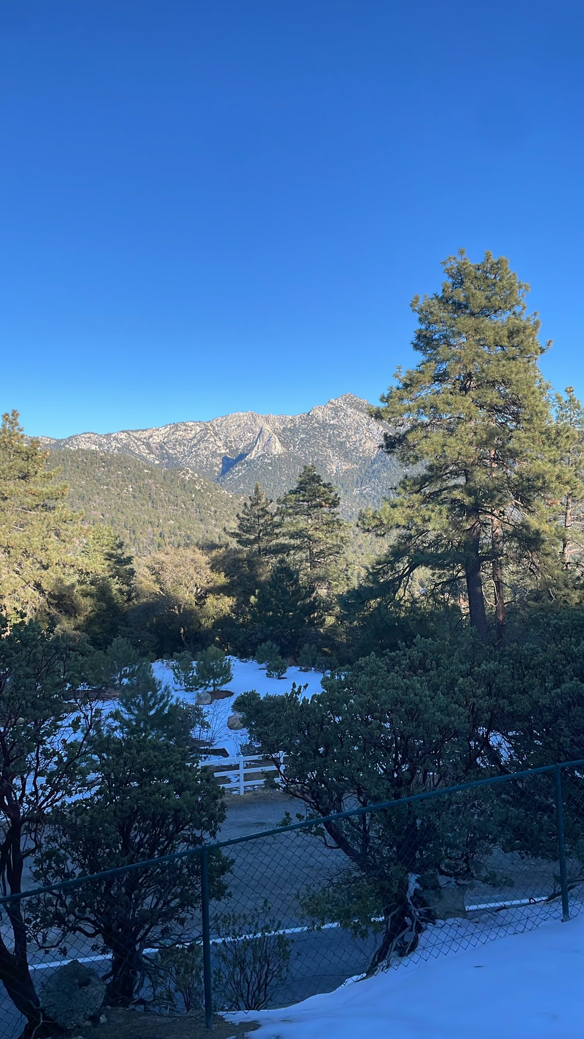 vanessa.julienne instagram image archive image