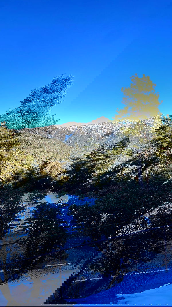 vanessa.julienne image ~ Altpins