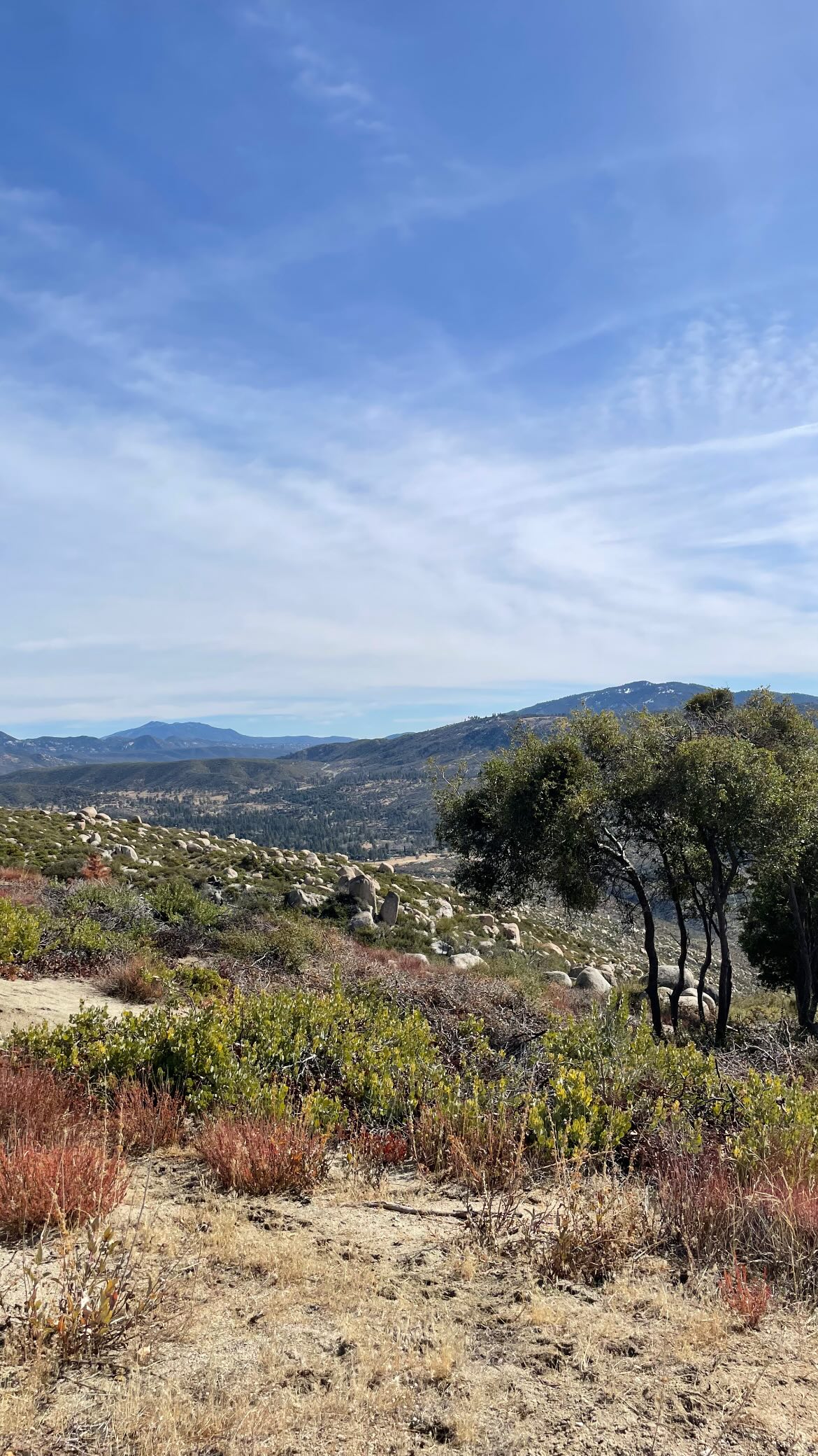 vanessa.julienne instagram image archive image