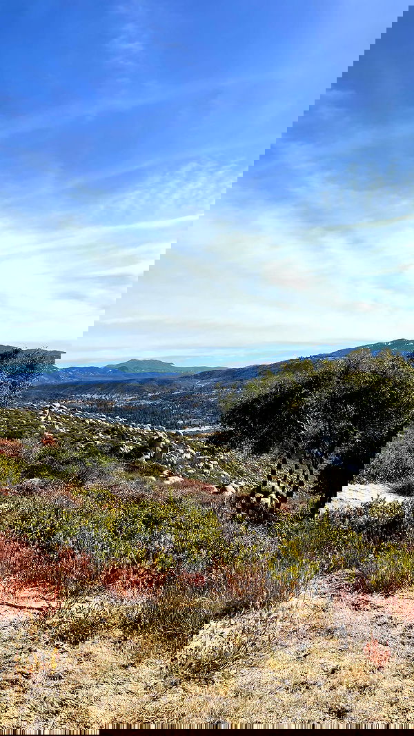 vanessa.julienne image ~ Altpins