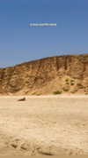 verymuchalma Altpins Profile Picture