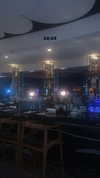 verymuchalma Altpins Profile Picture