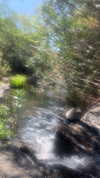 verymuchalma Altpins Profile Picture