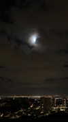 verymuchalma Altpins Profile Picture