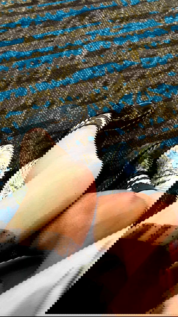 viezery viezery archive image