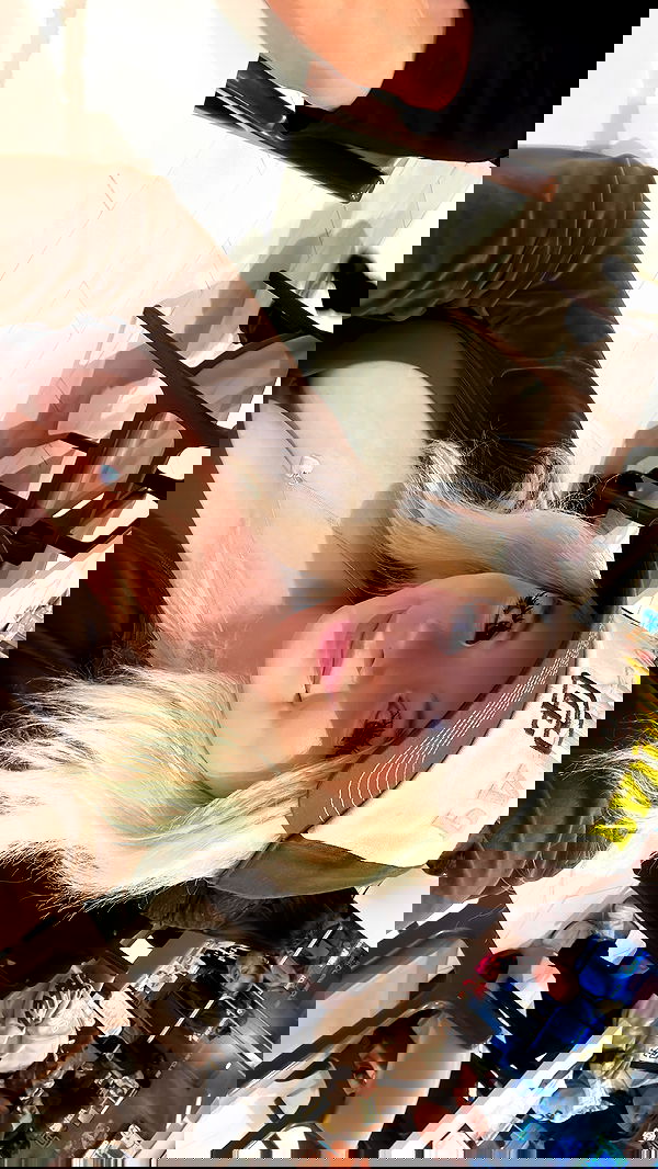 viezery viezery archive image