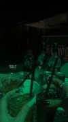 viol.gubin Altpins Profile Picture