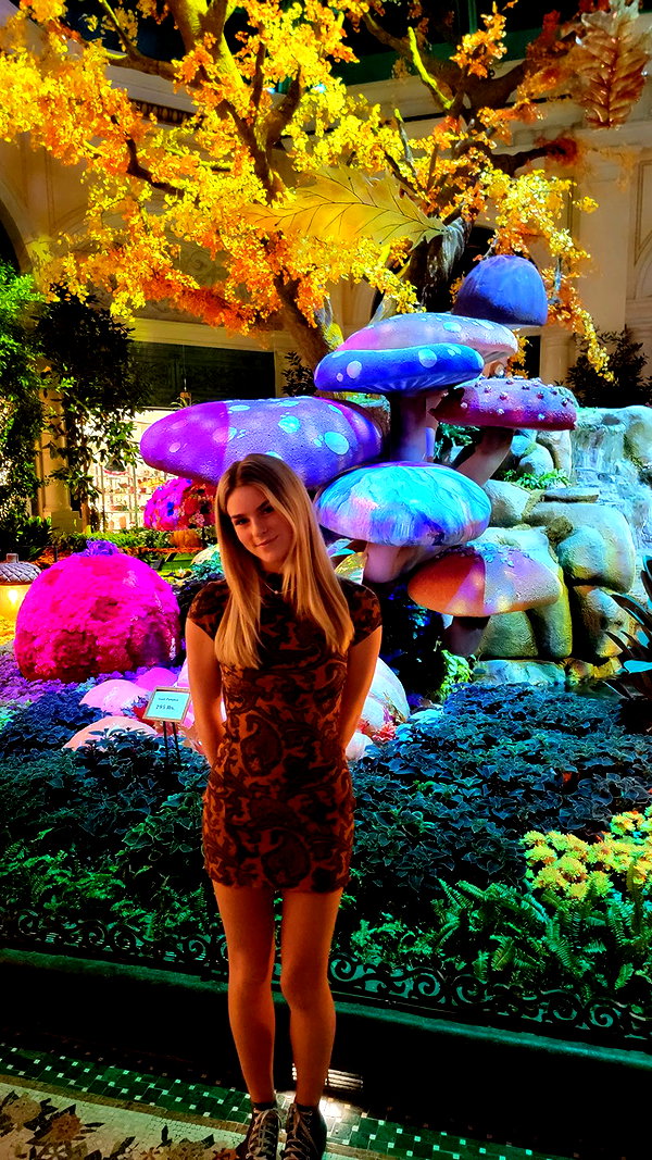violetkirbyy violetkirbyy archive image