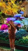 violetkirbyy Altpins Profile Picture