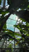 vixenp_ Altpins Profile Picture