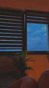 vixenp_ Altpins Profile Picture