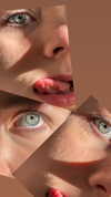 vixenp_ Altpins Profile Picture
