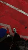 vixenp_ Altpins Profile Picture