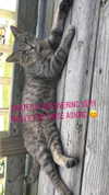 willowwbarbie Altpins Profile Picture