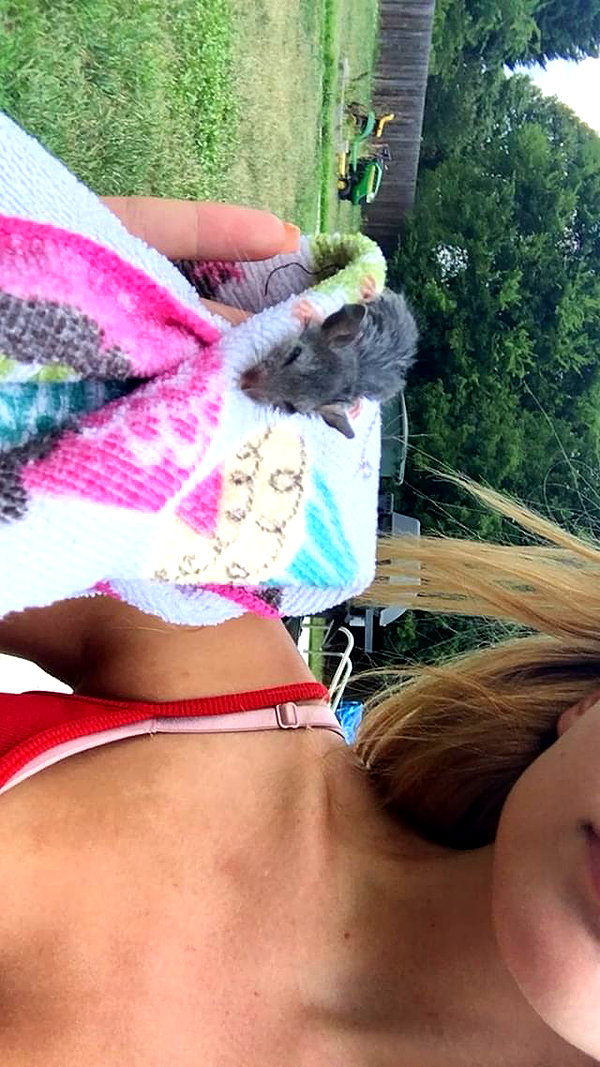 willowwbarbie instagram image archive image