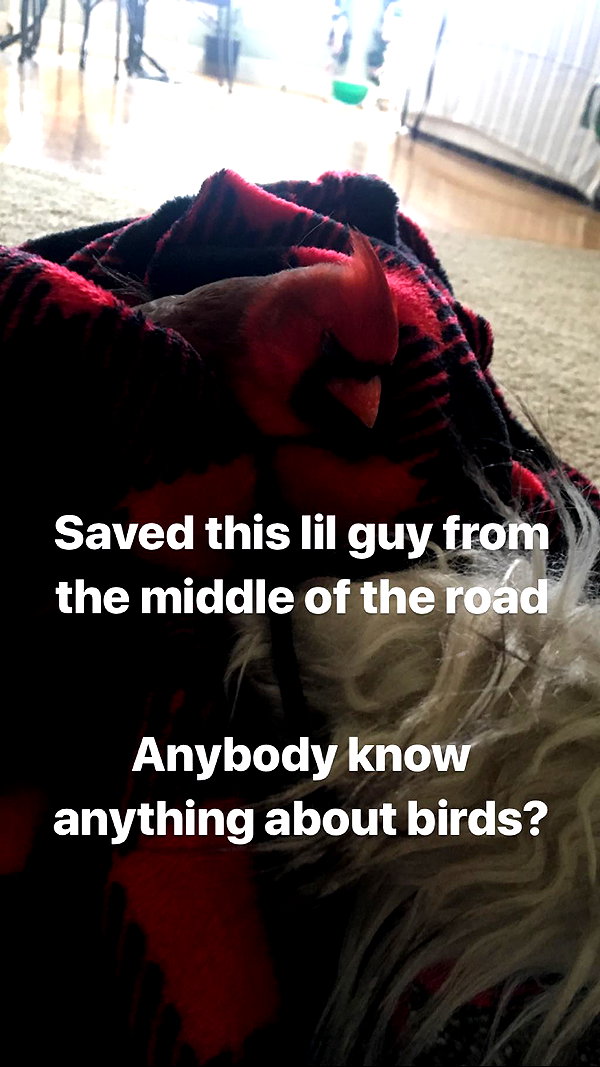 willowwbarbie instagram image archive image