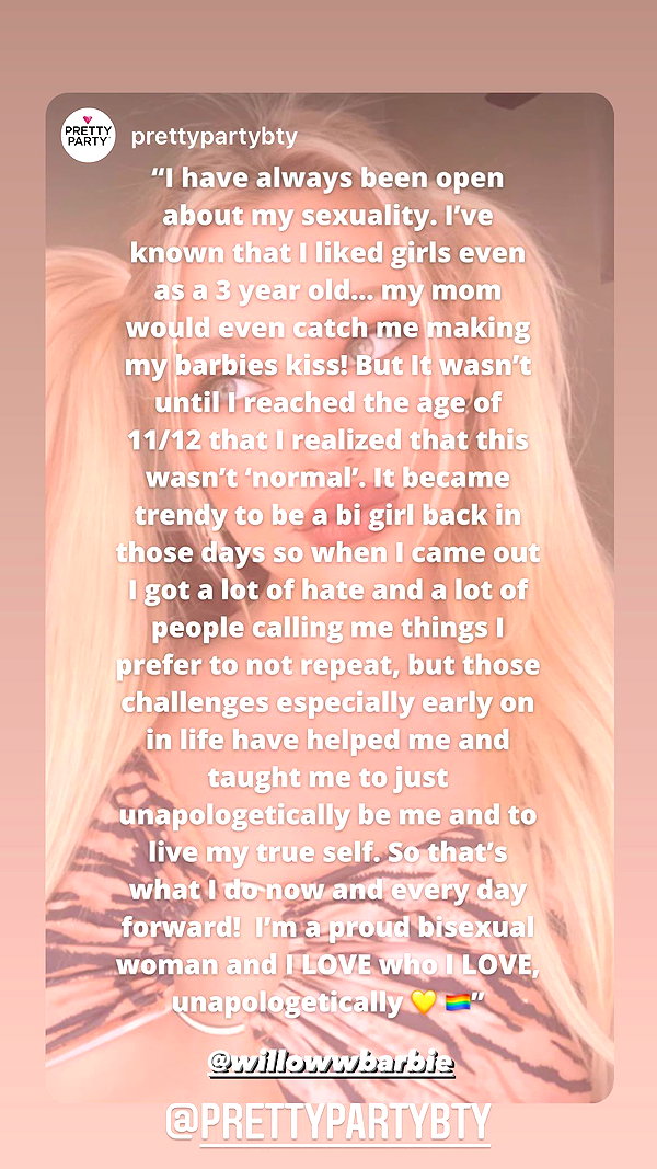 willowwbarbie willowwbarbie archive image