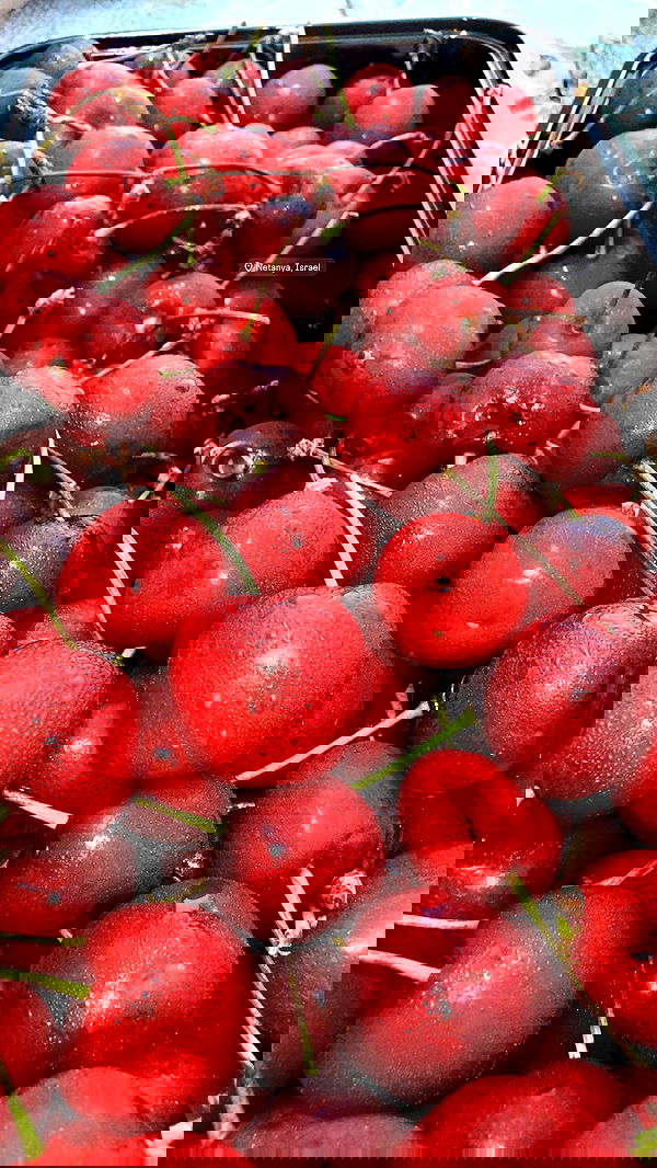 x_miishutka_x x_miishutka_x archive image