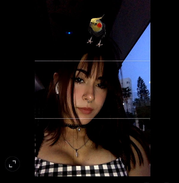 xsurio instagram image archive image