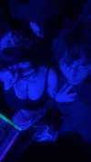 xunniexoo Altpins Profile Picture