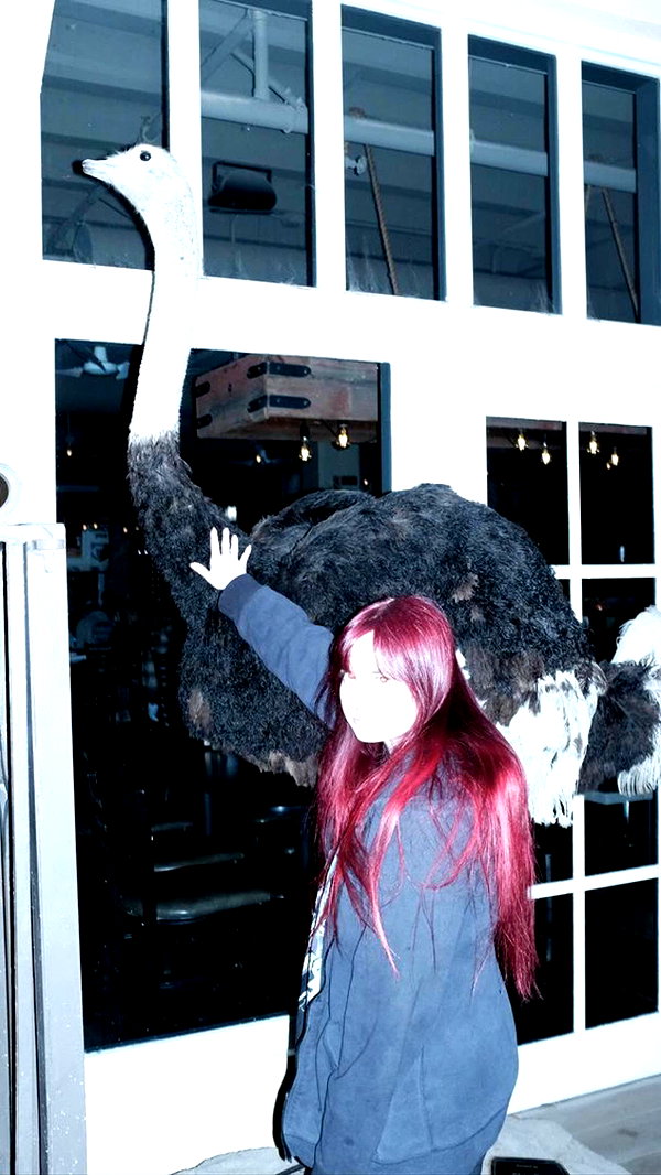 xunniexoo instagram image archive image