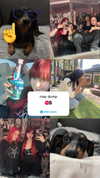 xunniexoo Altpins Profile Picture