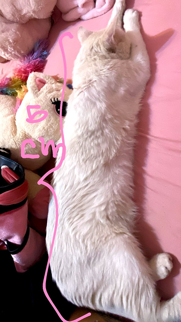 xxk1tty4nnaxx instagram image archive image