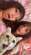 xxk1tty4nnaxx Altpins Profile Picture