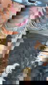 xzot1_met4xx Altpins Profile Picture