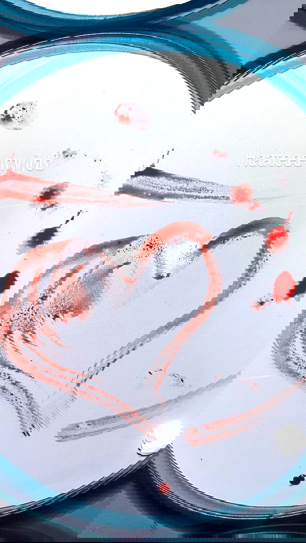 xzot1_met4xx image ~ Altpins