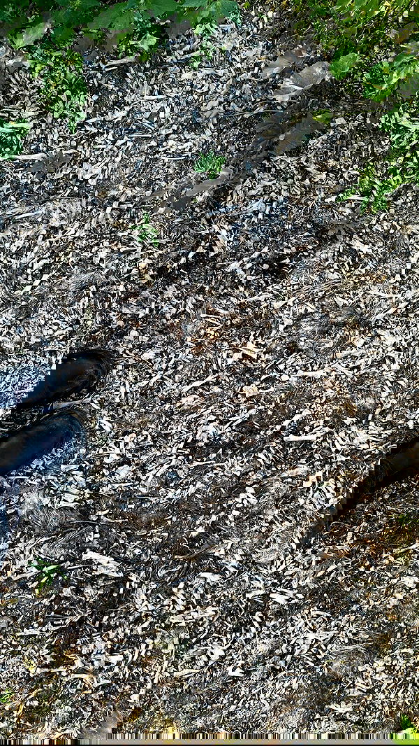 xzot1_met4xx image ~ Altpins