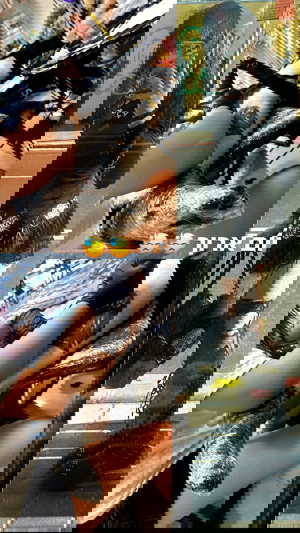 xzot1_met4xx image ~ Altpins