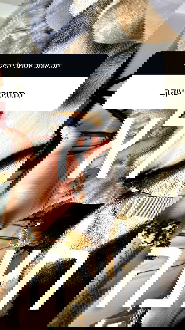 xzot1_met4xx image ~ Altpins