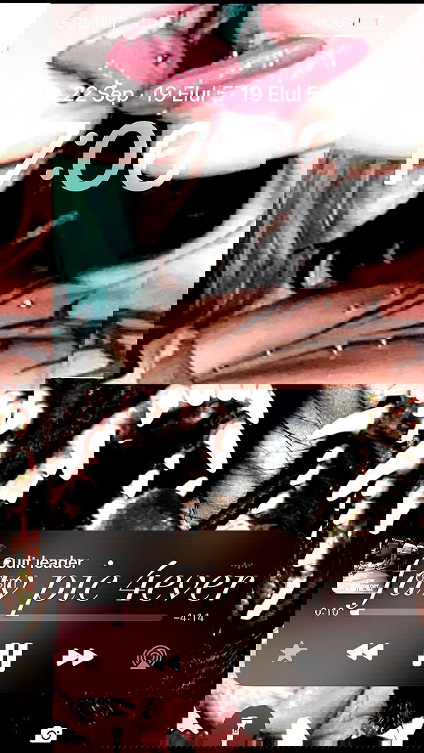 xzot1_met4xx image ~ Altpins