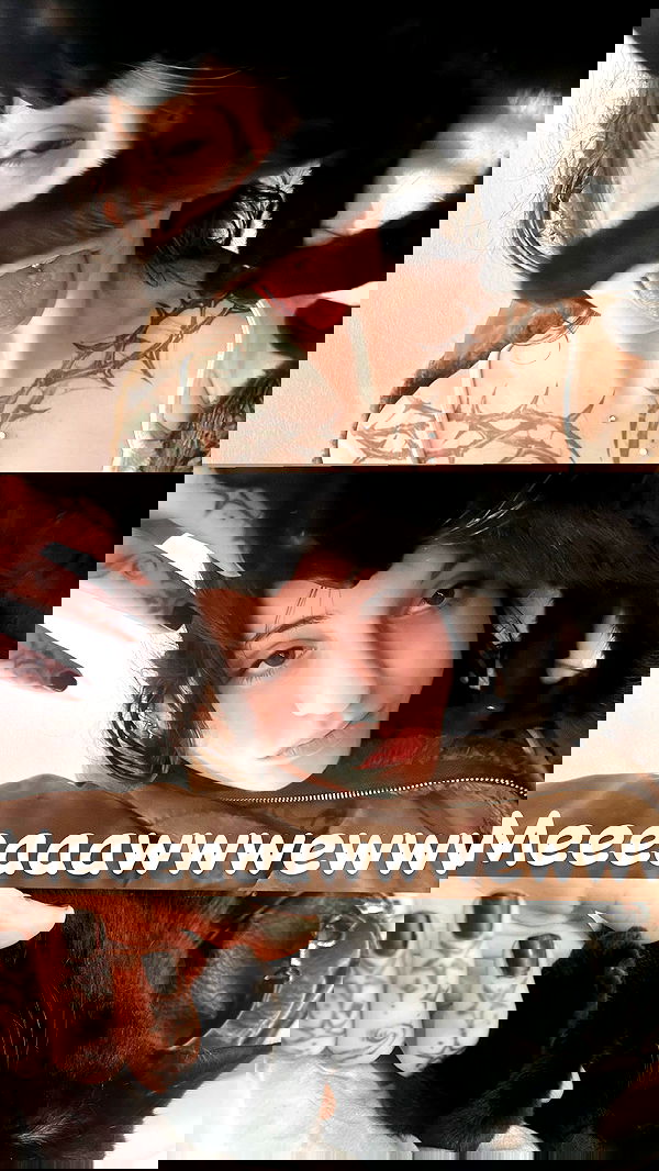 xzot1_met4xx image ~ Altpins