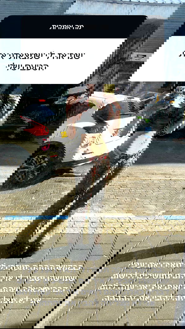 xzot1_met4xx image ~ Altpins