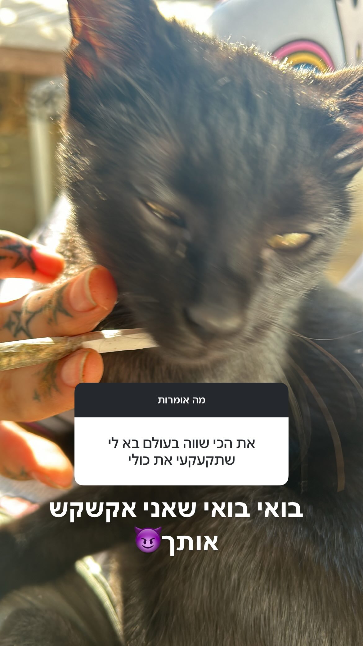 xzot1_met4xx instagram image archive image