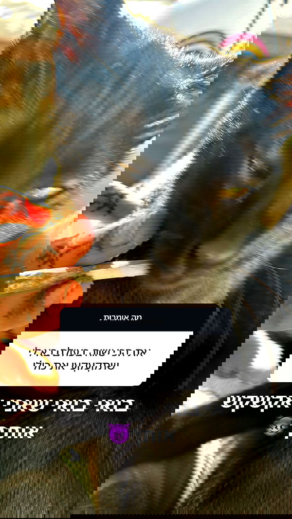 xzot1_met4xx image ~ Altpins