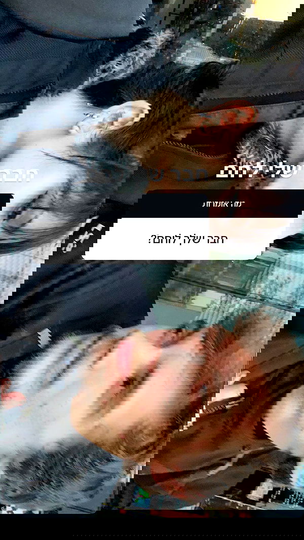 xzot1_met4xx image ~ Altpins