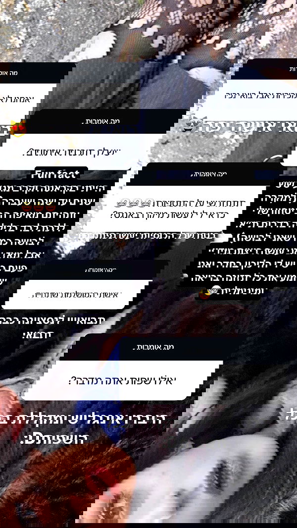 xzot1_met4xx image ~ Altpins