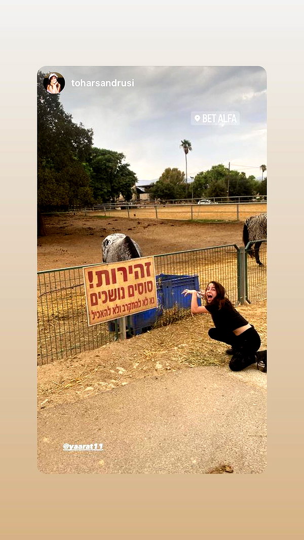 yaarat11 instagram image archive image