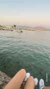 yaell_dahan Altpins Profile Picture