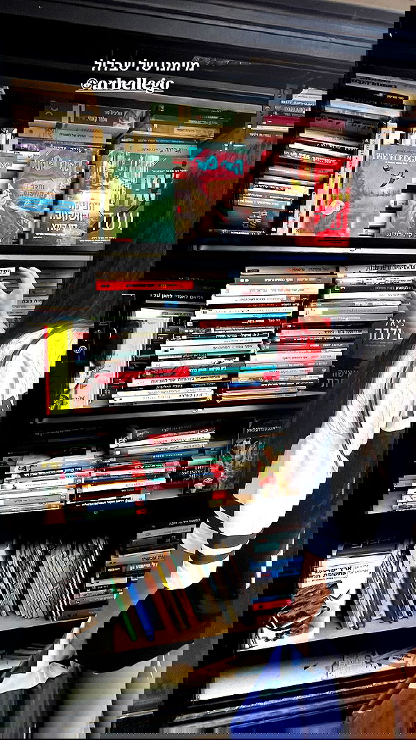 yaelxyazdi yaelxyazdi archive image