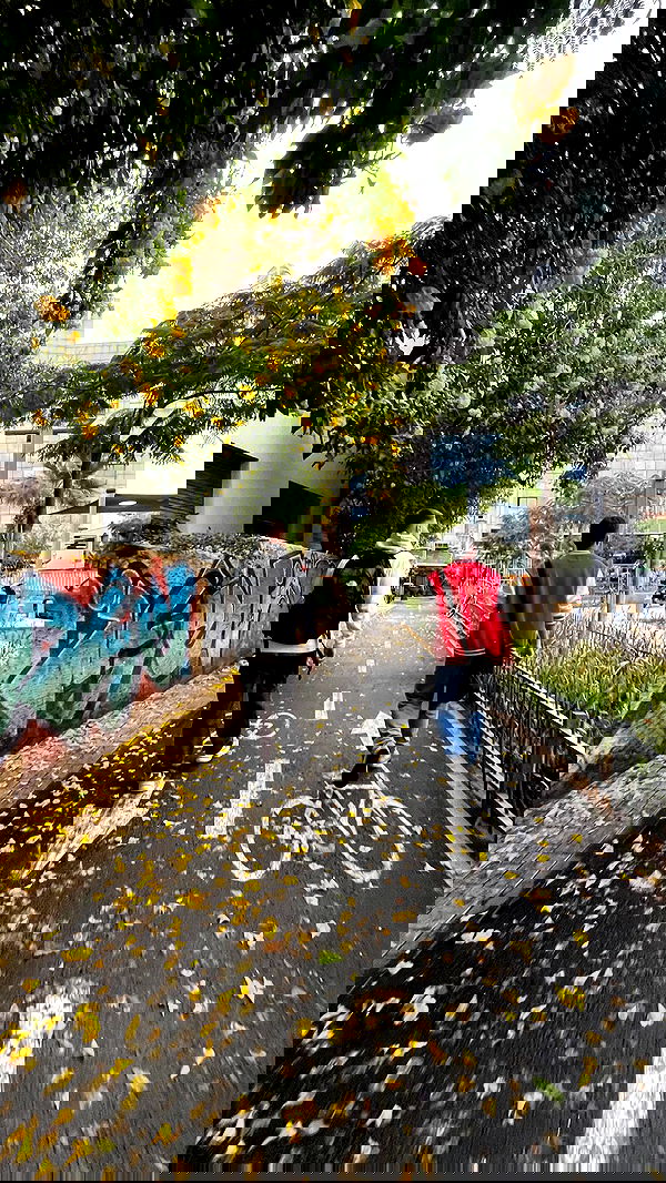 yaelxyazdi yaelxyazdi archive image