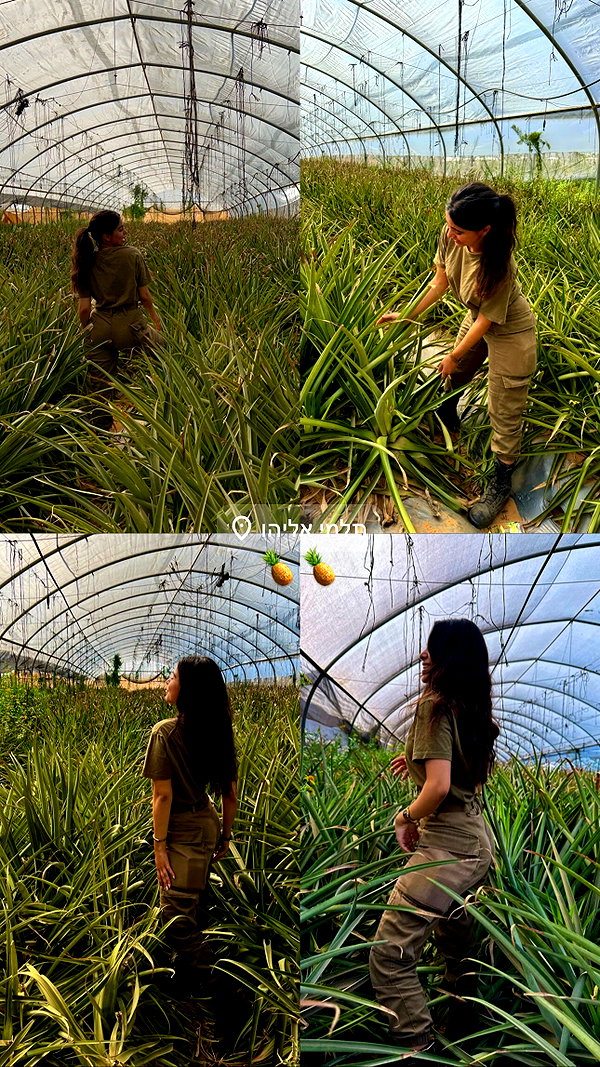 yahel_tubul instagram image archive image